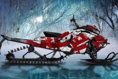 Wagenaar-Ski-doo-X-Gen4-146-CanadianR3D-LOOK