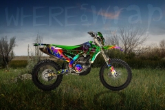 Yamaha-Green-Dan-D-WEB