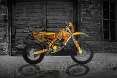 Yellow-Yamaha-Dan-D-WEB